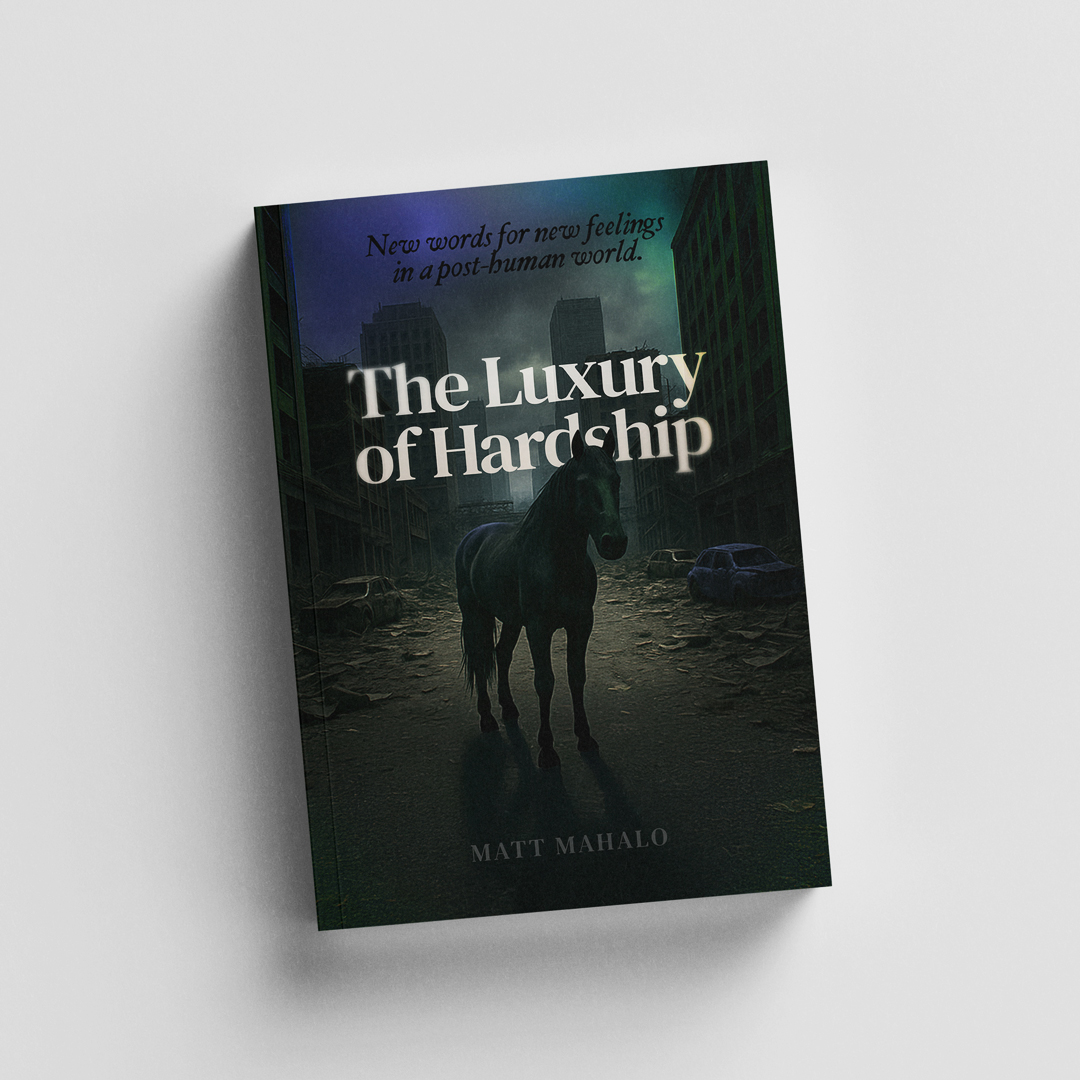 The Luxury of Hardship Book Cover